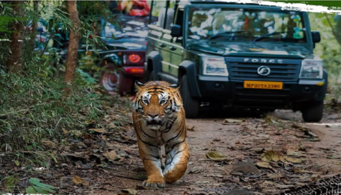 Forest Van Vibhag Vacancy: A Great Opportunity for Sarkari Job Aspirants